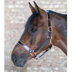 Roze leren halster Waldhausen X-Line Zwart Roze leren halster Waldhausen X-Line Zwart