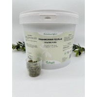 Framboosstruik Nutragile Framboosstruik Nutragile