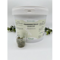 Framboosstruik Nutragile Framboosstruik Nutragile