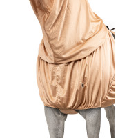 Couverture anti UV et anti eczéma avec rabat ventral et cou Horze Marron clair Couverture anti UV et anti eczéma avec rabat ventral et cou Horze Marron clair