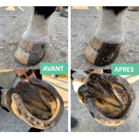 Zalf droge hoef emmer Ekin Zalf droge hoef emmer Ekin