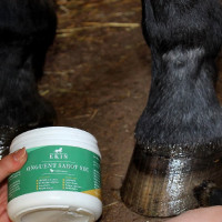 Zalf droge hoef emmer Ekin Zalf droge hoef emmer Ekin