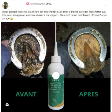 Gel traitant pourriture sévère des fourchettes Ekin Gel traitant pourriture sévère des fourchettes Ekin