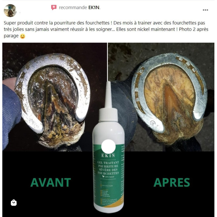 Gel traitant pourriture sévère des fourchettes Ekin Gel traitant pourriture sévère des fourchettes Ekin
