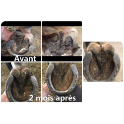 Spray traitant pourriture sole et fourchette Ekin Spray traitant pourriture sole et fourchette Ekin