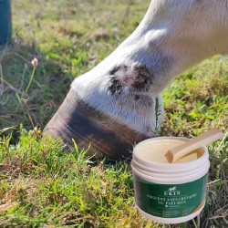 Onguent anti-crevasse du paturon Ekin