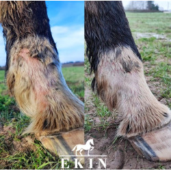 Onguent anti-crevasse du paturon Ekin