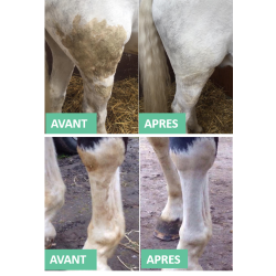 Détachant robe et crin Ekin