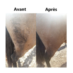 Détachant robe et crin Ekin