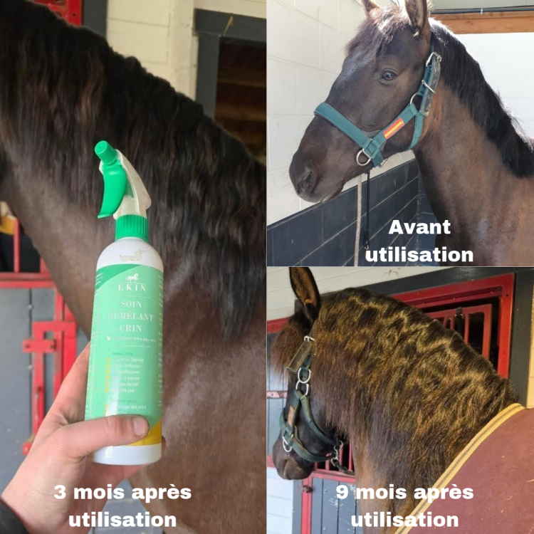 Soin démêlant crin Ekin Soin démêlant crin Ekin