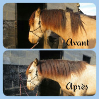 Ontklittingsverzorging voor manen Ekin