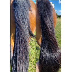 Soin démêlant crin Ekin