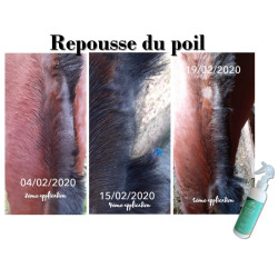 Repousse du poil Ekin Repousse du poil Ekin