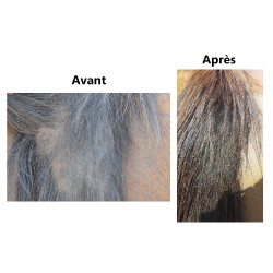 Repousse du poil Ekin Repousse du poil Ekin