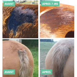 Repousse du poil Ekin Repousse du poil Ekin