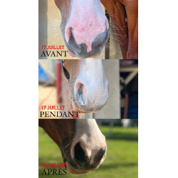 Protection solaire Ekin Protection solaire Ekin