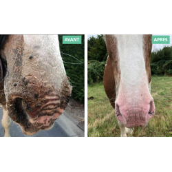 Protection solaire Ekin Protection solaire Ekin