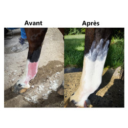 Protection solaire Ekin Protection solaire Ekin