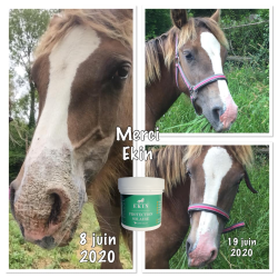 Protection solaire Ekin Protection solaire Ekin