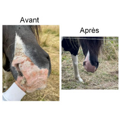 Protection solaire Ekin Protection solaire Ekin