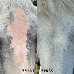 Protection solaire Ekin Protection solaire Ekin