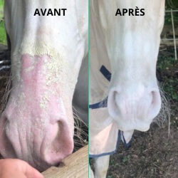 Protection solaire Ekin Protection solaire Ekin