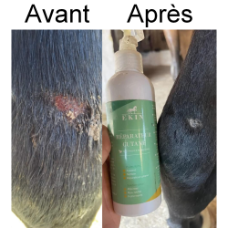 Spray réparateur cutané Ekin