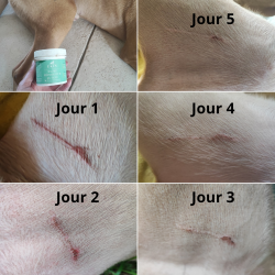 Spray réparateur cutané Ekin