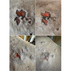 Spray réparateur cutané Ekin