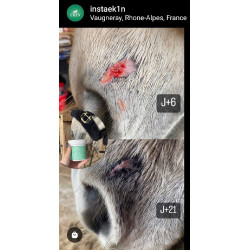 Baume réparateur cutané Ekin Baume réparateur cutané Ekin