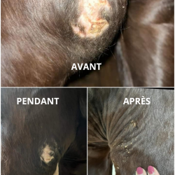 Baume réparateur cutané Ekin Baume réparateur cutané Ekin