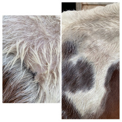 Baume réparateur cutané Ekin Baume réparateur cutané Ekin