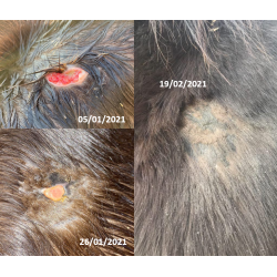 Baume réparateur cutané Ekin Baume réparateur cutané Ekin