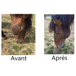 Spray Répulsif insectes Ekin Spray Répulsif insectes Ekin