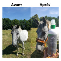 Insectenafweerspray Ekin Insectenafweerspray Ekin