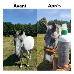 Insectenafweerspray Ekin Insectenafweerspray Ekin