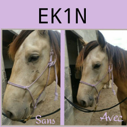 Répulsif insectes Ekin Répulsif insectes Ekin