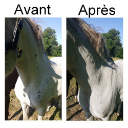 Répulsif insectes tête Ekin Répulsif insectes tête Ekin