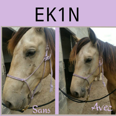 Insectenafweermiddel hoofd Ekin Insectenafweermiddel hoofd Ekin