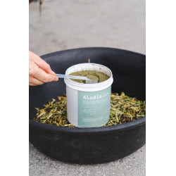 Aliment complémentaire Alodis Care Horse Complexe Aliment complémentaire Alodis Care Horse Complexe