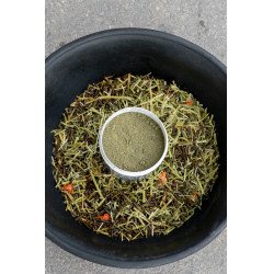 Aliment complémentaire Alodis Care Horse Complexe Aliment complémentaire Alodis Care Horse Complexe