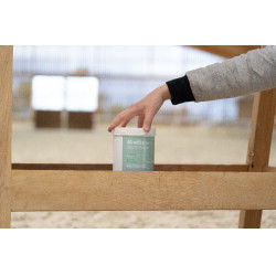 Aliment complémentaire Alodis Care Horse Complexe Aliment complémentaire Alodis Care Horse Complexe