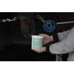 Aliment complémentaire Alodis Care Horse Complexe Aliment complémentaire Alodis Care Horse Complexe