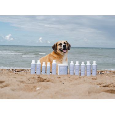 Alodis Care Cani Clay klei voor honden