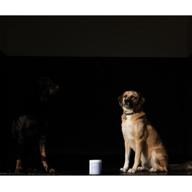 Alodis Care Cani Clay klei voor honden