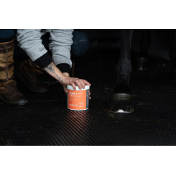 Klei Alodis Care Tendi Flash