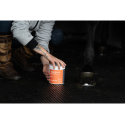 Klei Alodis Care Tendi Flash