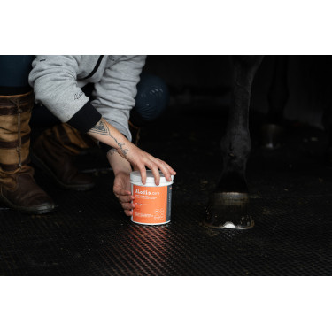 Klei Alodis Care Tendi Flash