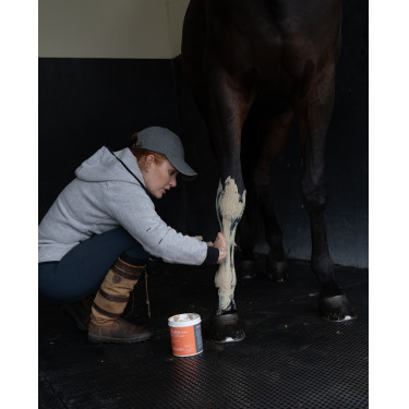 Klei Alodis Care Tendi Flash