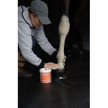 Klei Alodis Care Tendi Flash